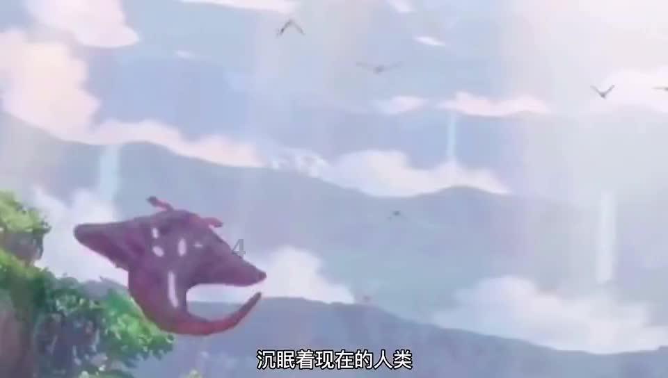 奥莉的夏威夷之旅