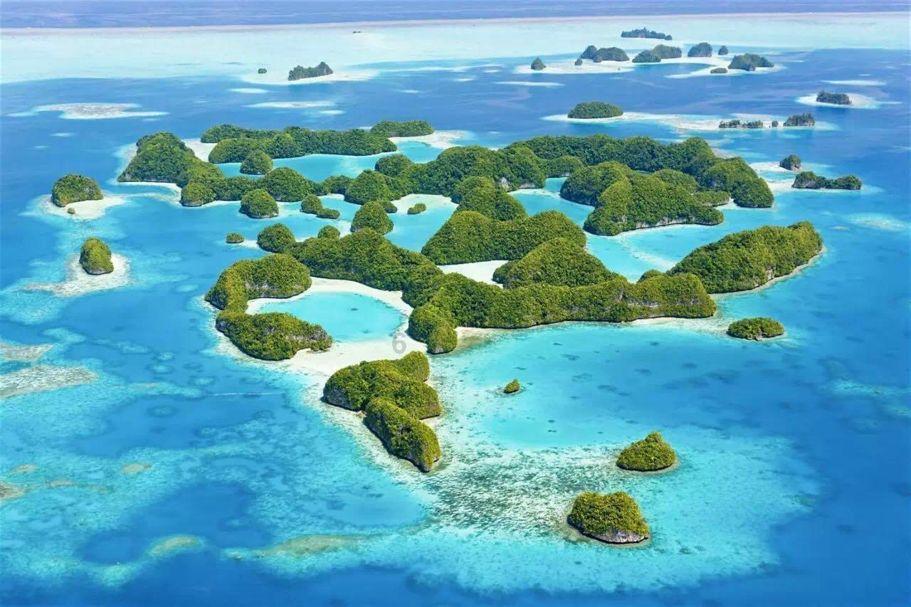 正当防卫