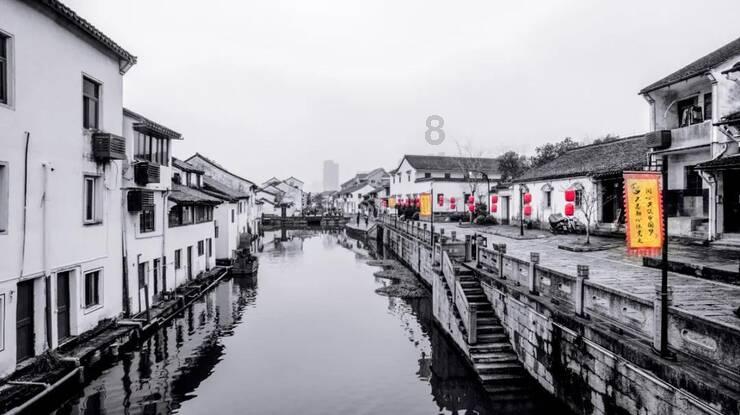 济南“胡一刀”胡承春救助上百只鸟类